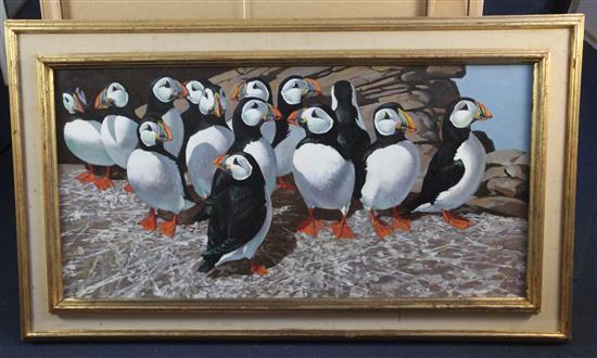 § Keith Shackleton (1923-2015) Puffins on the Great Smith: Isles of Scilly 17.5 x 36in.